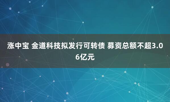 涨中宝 金道科技拟发行可转债 募资总额不超3.06亿元